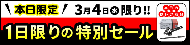 �������̓��ʃZ�[���IVSTW(��)_��